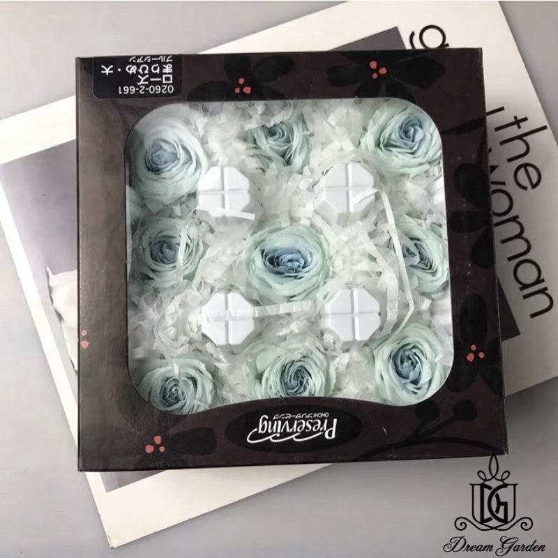 🇸🇬[SG Stock]🇸🇬SG Local Largest Wholesaler Japanese Earth Matters Preserved Austin roses Gradient color Preserved Flowers