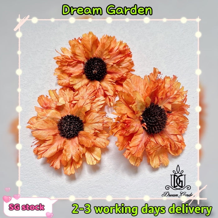 Handmade Feathered Chrysanthemum Gerbera Sunflowers Dried | DreamGarden SG