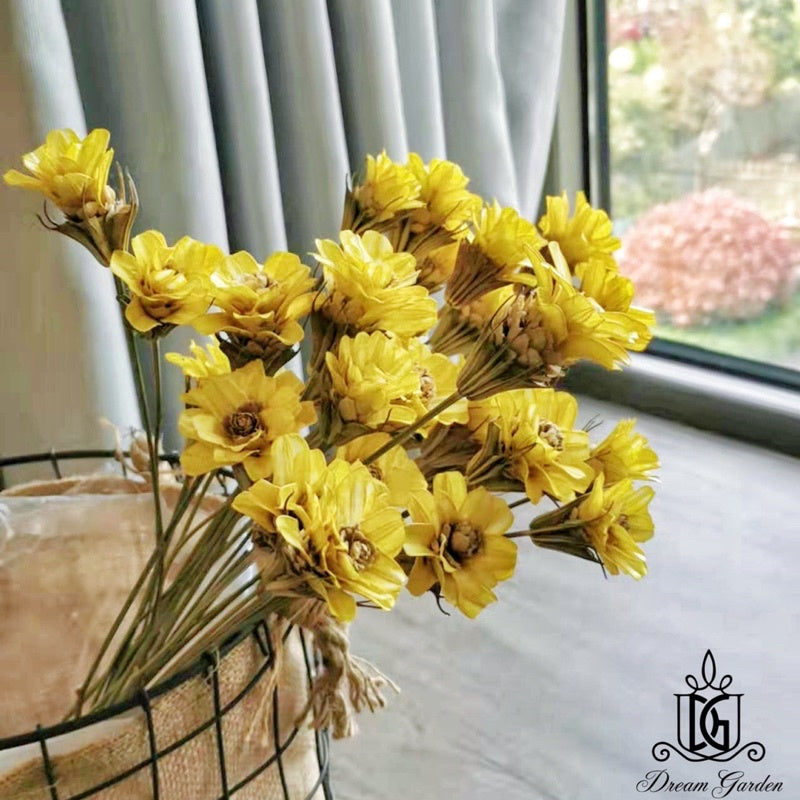 🇸🇬[SG Stock]Handmade Dried Flowers Dried Daisy Dried Sunflowers Singapore Local Wholesalers Home Decoration/DIY/Wedding