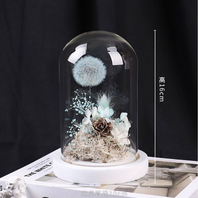 🇸🇬[SG Stock]Preserved Flowers Preserved Dandelion Singapore Local Wholesalers Home Decoration/DIY/Wedding