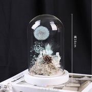 Preserved Dandelion | DreamGarden SG