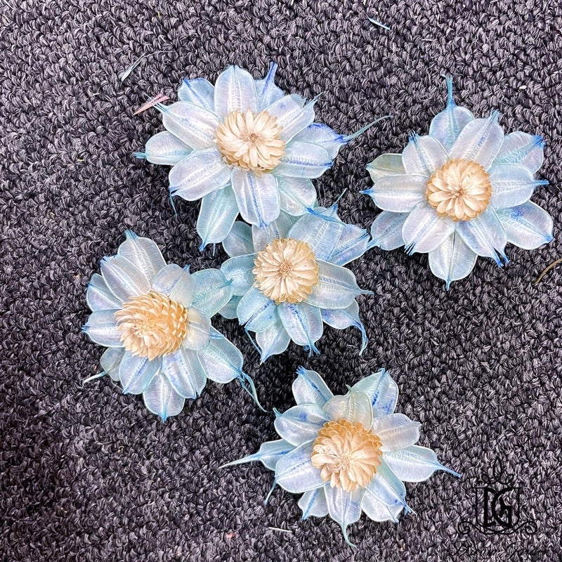 🇸🇬[SG Stock]SG Stock New Arrival Dried Flower Sola Flowers Wood Flower Handmade Flower Chrysanthemum Lotus Peony