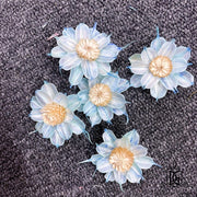 New Arrival Dried Flower Sola Flowers Wood Flower 3 | DreamGarden SG