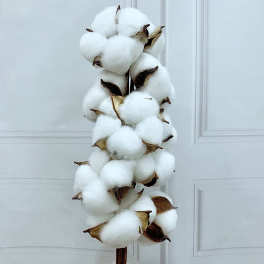 Cotton Flowers