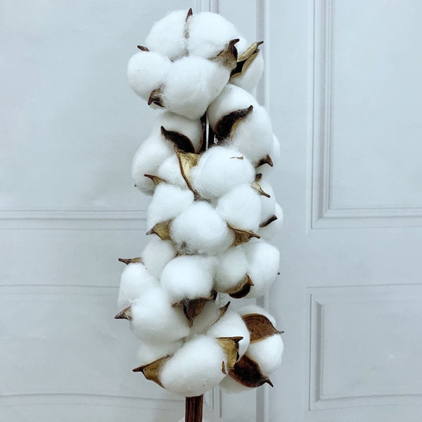 Cotton Flowers