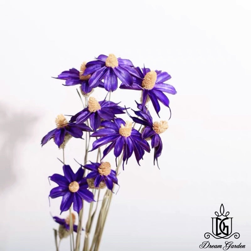 🇸🇬[SG Stock] SG Local Largest Wholesaler Handmade Daisy Chrysanthemum Dried Flowers Suitable For Decoration/Wedding/DIY