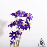 Handmade Daisy Chrysanthemum Dried Flowers | DreamGarden SG