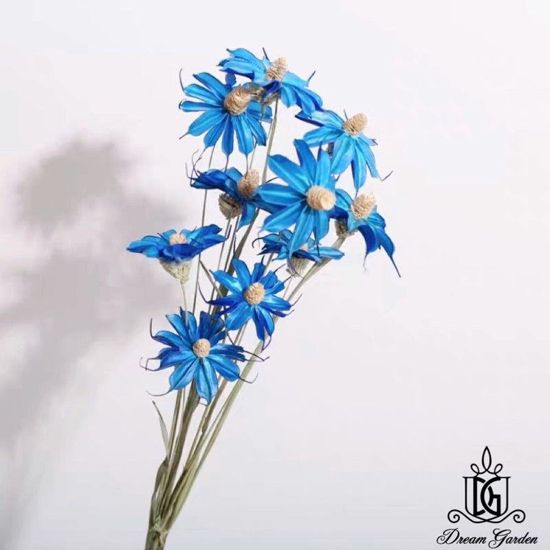 🇸🇬[SG Stock] SG Local Largest Wholesaler Handmade Daisy Chrysanthemum Dried Flowers Suitable For Decoration/Wedding/DIY