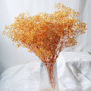 Preserved Babybreath | DreamGarden SG