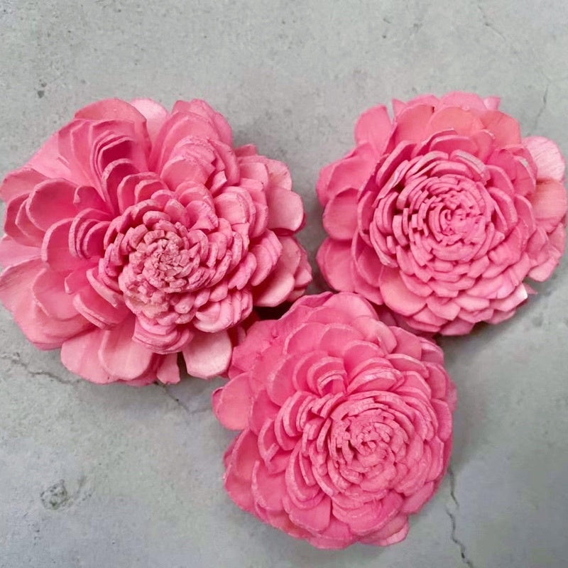 🇸🇬[SG Stock]Preserved Flowers Dried Flowers Colored Sola Flowers Wood Flower Handmade Flower Chrysanthemum Lotus Peony