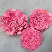 Preserved Flowers Colored Sola Flowers Wood Flower | DreamGarden SG