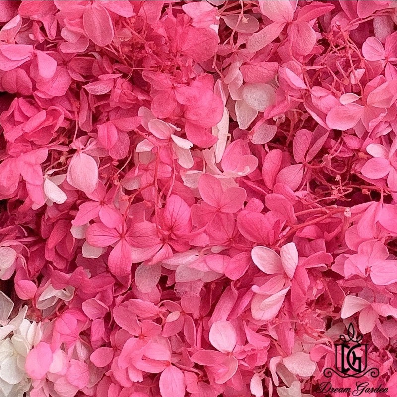 🇸🇬[SG Stock]Preserved Flowers Grade A Preserved Hydrangea Singapore Local Wholesalers Home Decoration/DIY/Wedding
