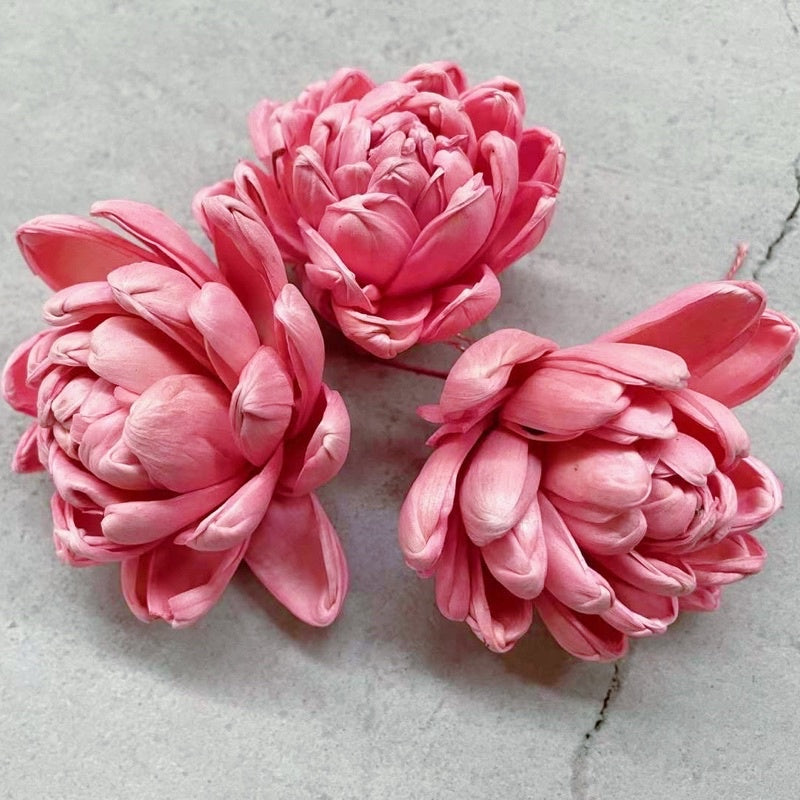 🇸🇬[SG Stock]Preserved Flowers Dried Flowers Colored Sola Flowers Wood Flower Handmade Flower Chrysanthemum Lotus Peony