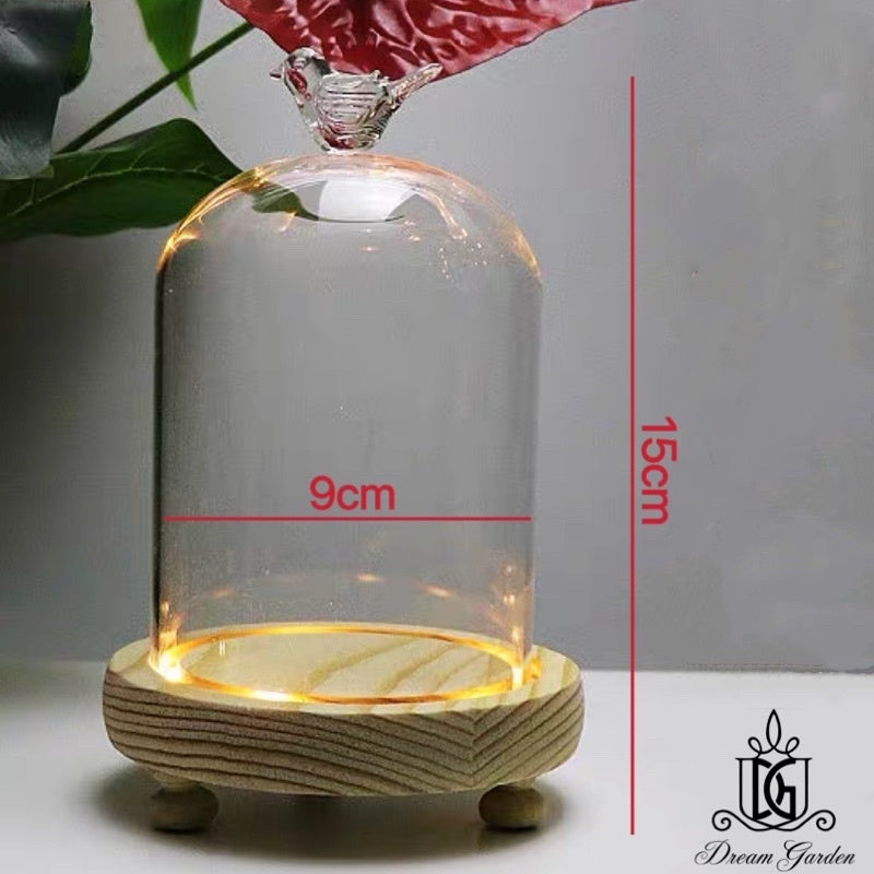🇸🇬[SG Stock] [Dream Garden] Preserved Flower Dome Clear Glass Cloche Display Dome with LED Wooden Base High Quality