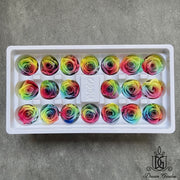 Grade A Preserved Roses 2cm-3cm | DreamGarden SG