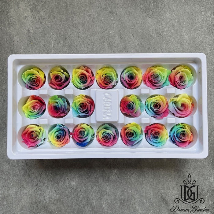 Grade A Preserved Roses 2cm-3cm | DreamGarden SG