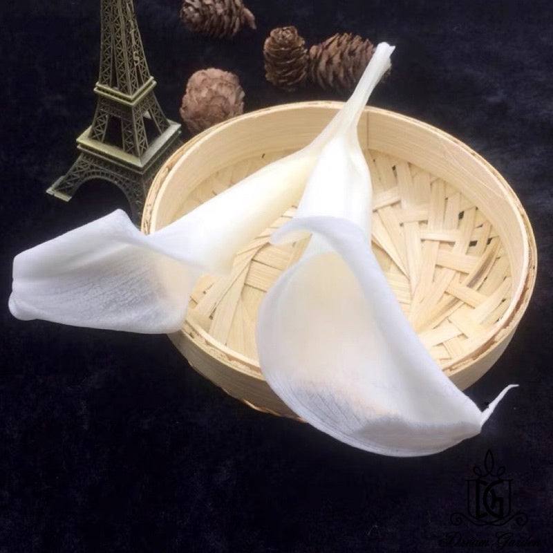 🇸🇬[SG Stock][Dream Garden] SG Local Preserved Calla Lily Preserved Flowers Suitable For Decoration/Wedding/DIY/Dome