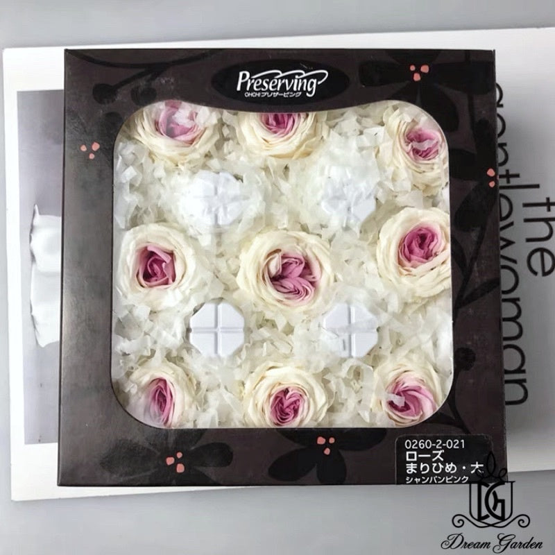 🇸🇬[SG Stock]🇸🇬SG Local Largest Wholesaler Japanese Earth Matters Preserved Austin roses Gradient color Preserved Flowers