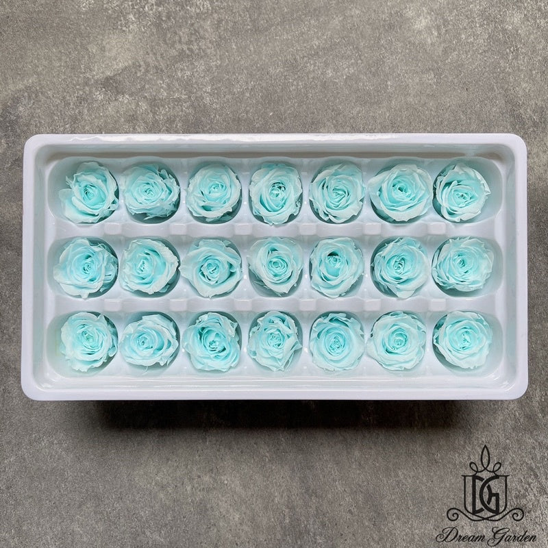 🇸🇬[SG Stock][Dream Garden]Grade B Preserved Roses 2cm-3cm Preserved Flowers Dried Flowers Home Decoration/DIY/Wedding
