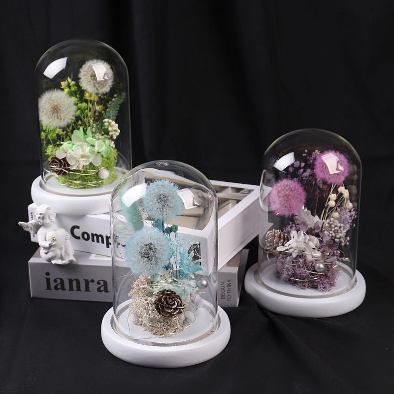 🇸🇬[SG Stock]Preserved Flowers Preserved Dandelion Singapore Local Wholesalers Home Decoration/DIY/Wedding