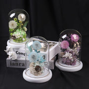 Preserved Dandelion | DreamGarden SG