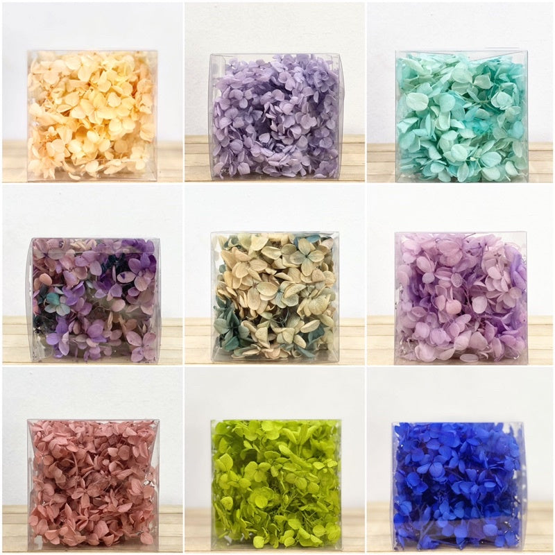 🇸🇬[SG Stock]Hydrangea Preserved Flowers Grade A Preserved Hydrangeas Singapore Local Home Decoration/DIY/Wedding