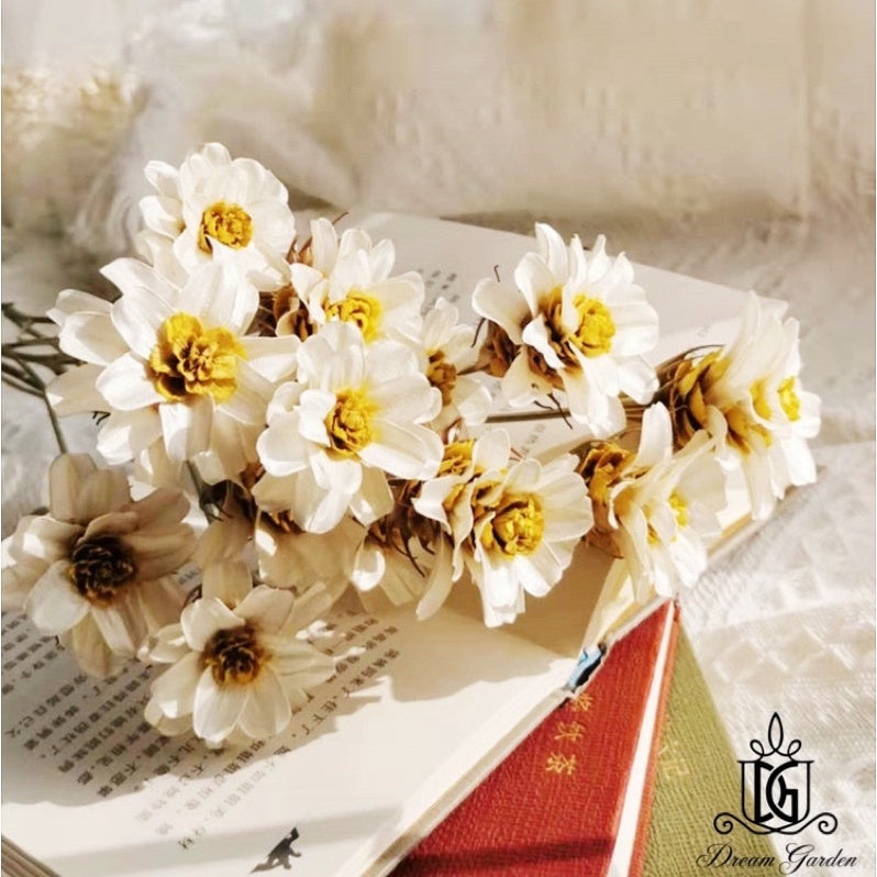 🇸🇬[SG Stock]Handmade Dried Flowers Dried Daisy Dried Sunflowers Singapore Local Wholesalers Home Decoration/DIY/Wedding
