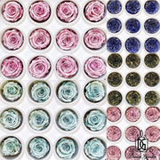 Pearl Color RoseAmor Austin Japanese Preserved Roses | DreamGarden SG