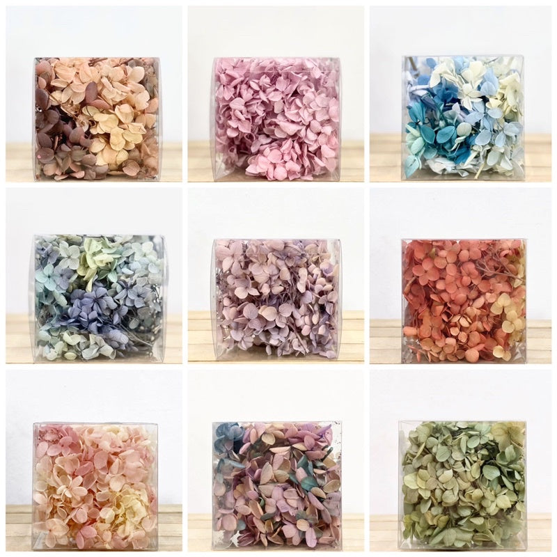 🇸🇬[SG Stock]Hydrangea Preserved Flowers Grade A Preserved Hydrangeas Singapore Local Home Decoration/DIY/Wedding