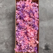 Preserved Flowers Grade B Preserved Hydrangea | DreamGarden SG