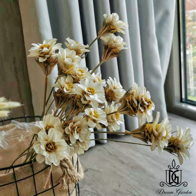 🇸🇬[SG Stock]Handmade Dried Flowers Dried Daisy Dried Sunflowers Singapore Local Wholesalers Home Decoration/DIY/Wedding