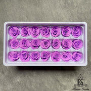 Grade A Preserved Roses 2cm-3cm | DreamGarden SG