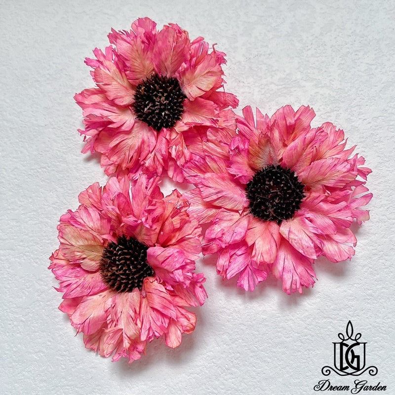 🇸🇬[SG Stock][Dream Garden]Handmade Feathered Chrysanthemum Gerbera Sunflowers Dried Flowers Home Decoration/DIY/Wedding