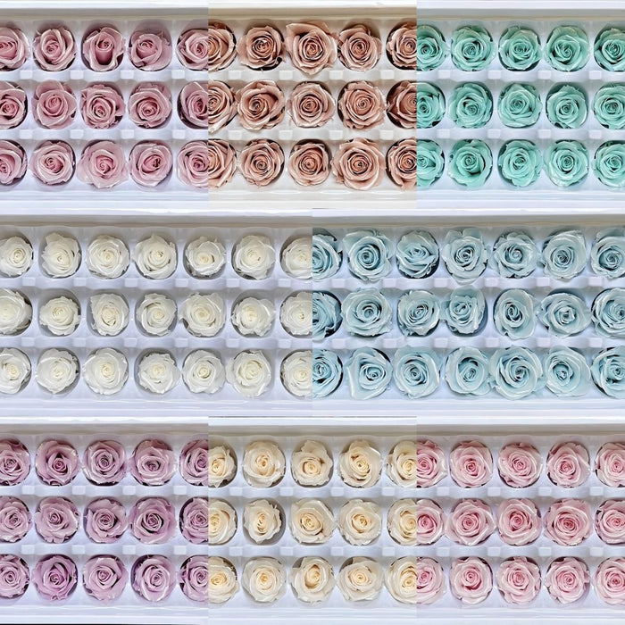 Preserved Flowers Pearl/Satin Preserved Roses Grade A | DreamGarden SG
