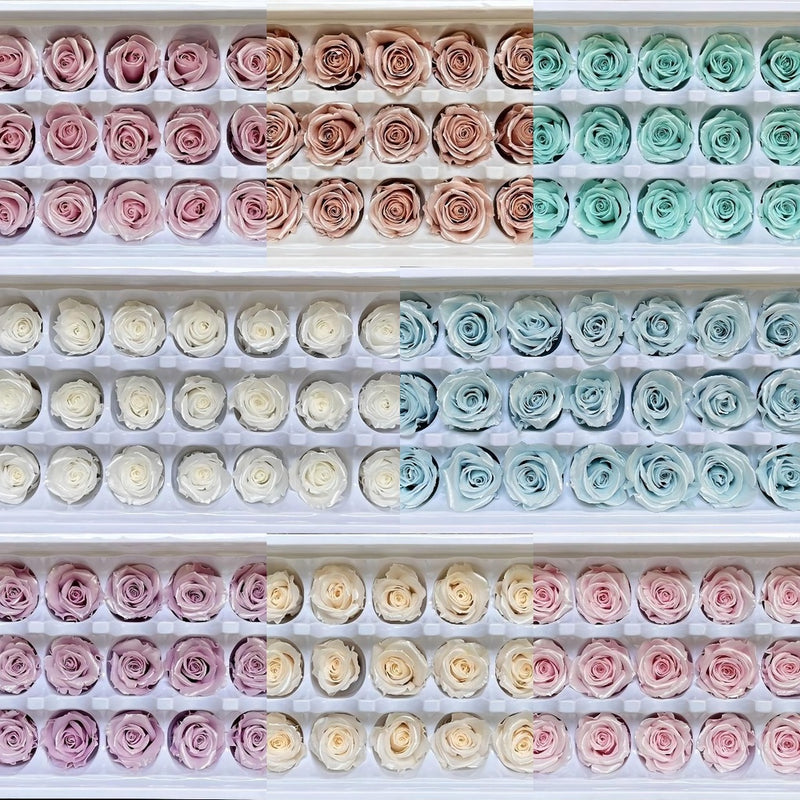 🇸🇬[SG Stock] Singapore Local Dream Garden Preserved Flowers Dried Flowers Pearl/Satin Preserved Roses Grade A 2-3cm