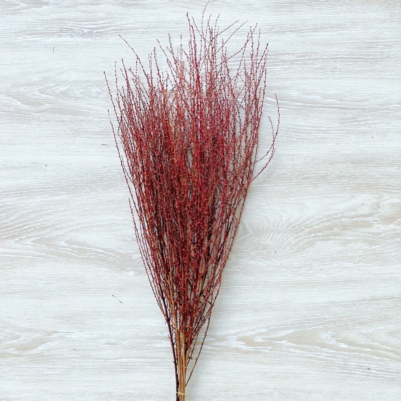 🇸🇬[SG Stock] Preserved Snow Willow Branches For Home Decor/DIY/Wedding/Glass Cover Dome Dried Eternal Flowers
