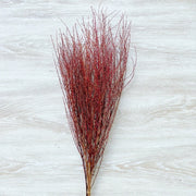 Preserved Snow Willow Branches For Home | DreamGarden SG