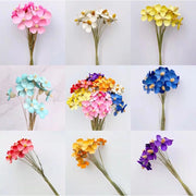 Preserved Flowers Violet By Hand | DreamGarden SG