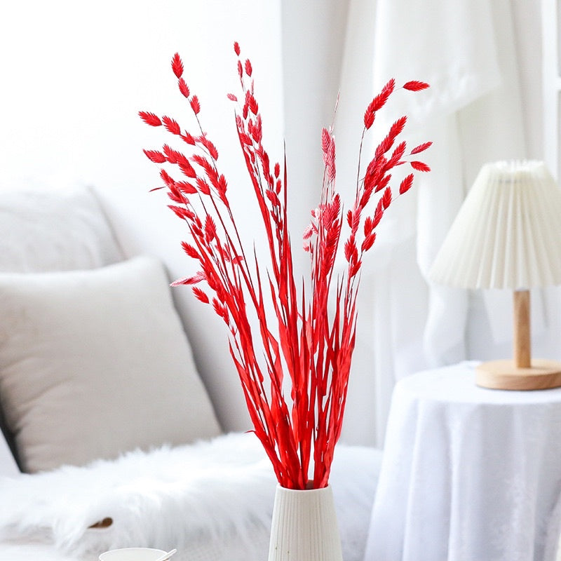 🇸🇬[SG Stock]Preserved Flowers Dried Flower Preserved Chasmanthium Latifolium Northern Sea Oats Spangle Grass Spike Grass