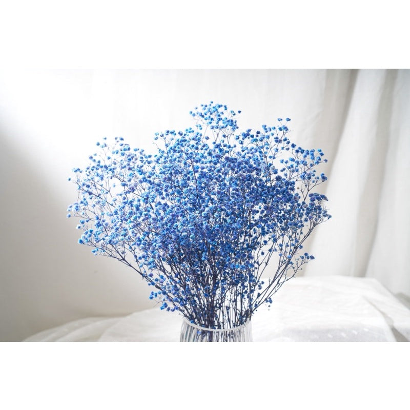 🇸🇬[SG Stock]Preserved Flowers Dried Flowers Preserved Baby Breath Singapore Local Florist/Home Decoration/DIY/Wedding