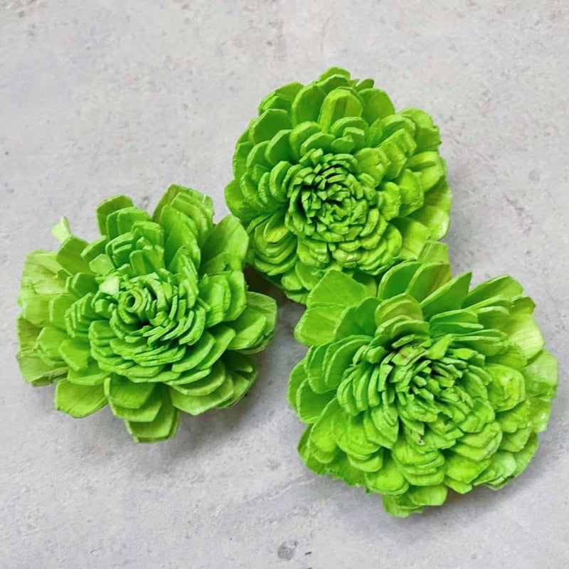 🇸🇬[SG Stock]Preserved Flowers Dried Flowers Colored Sola Flowers Wood Flower Handmade Flower Chrysanthemum Lotus Peony