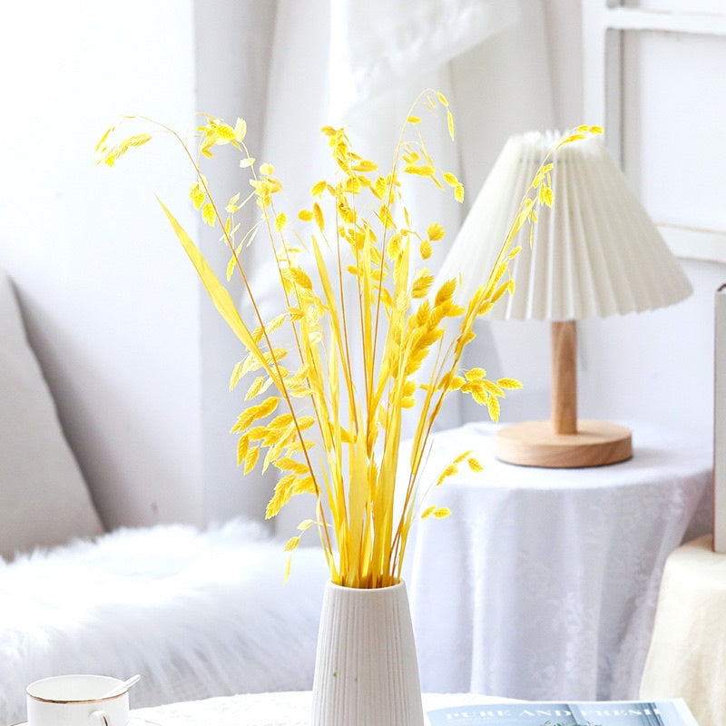 🇸🇬[SG Stock]Preserved Flowers Dried Flower Preserved Chasmanthium Latifolium Northern Sea Oats Spangle Grass Spike Grass