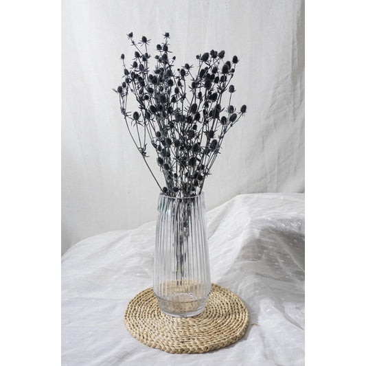 🇸🇬[SG Stock]Preserved Flowers Dried Flowers Preserved Sea Holly Singapore Local Wholesalers Home Decoration/DIY/Wedding
