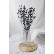 Preserved Sea Holly 2 | DreamGarden SG