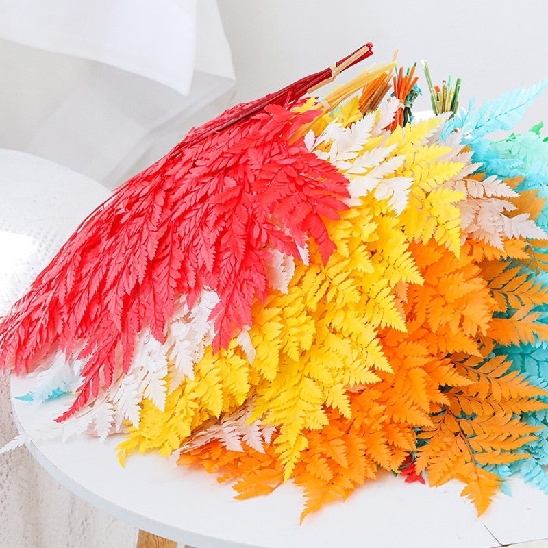 🇸🇬[SG Stock]Preserved Rainbow Fern Dried Flowers Preserved Singapore Local Wholesalers Home Decoration/DIY/Wedding