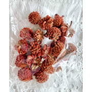 Dried Fruits | DreamGarden SG