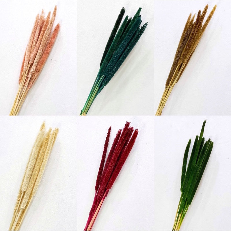 🇸🇬[SG Stock]Preserved Flowers Dried Flowers Preserved Babala Singapore Local Wholesaler Home Decoration/DIY/Wedding