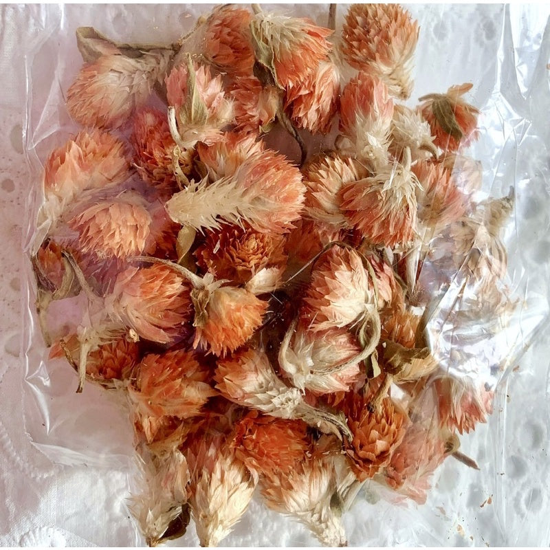 🇸🇬[SG Stock]Preserved Flowers Dried Flowers Dried Fruits Singapore Local Wholesalers Home Decoration/DIY/Wedding