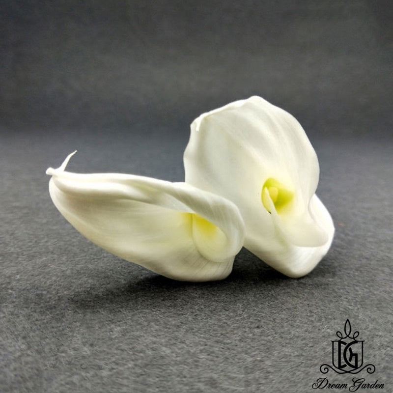 🇸🇬[SG Stock][Dream Garden] SG Local Preserved Calla Lily Preserved Flowers Suitable For Decoration/Wedding/DIY/Dome