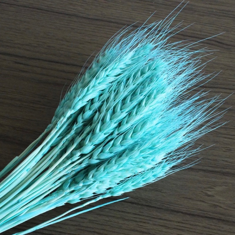 🇸🇬[SG Stock]Preserved Flowers Dried Flowers Dried Wheat Singapore Local Wholesalers Home Decoration/DIY/Wedding